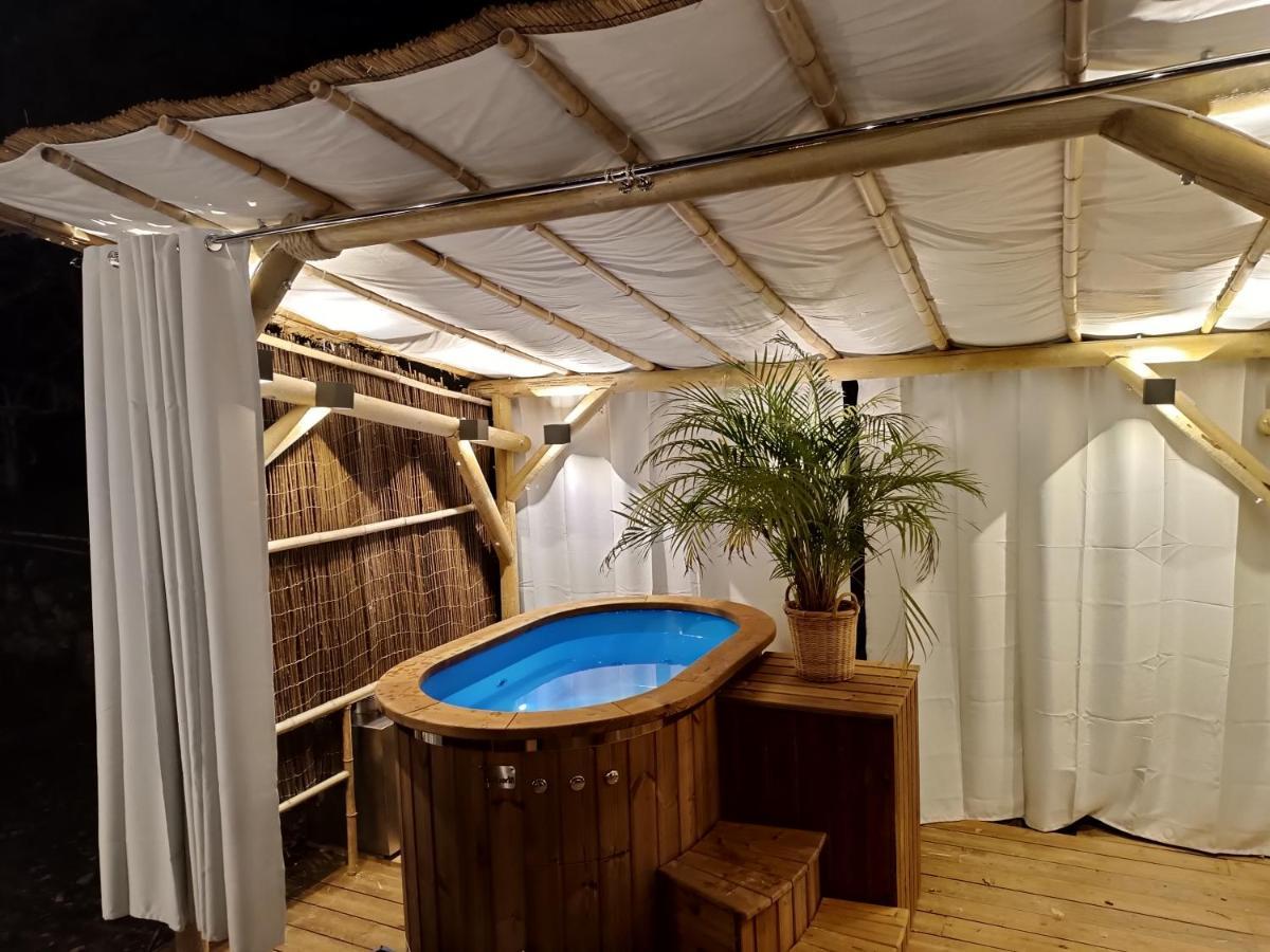 La Tiny Du Midi Hotel Tourrettes-sur-Loup Eksteriør billede